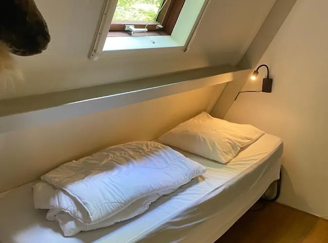 Parenthèse 206 Durbuy