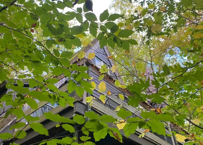 Parenthèse 206 * Durbuy